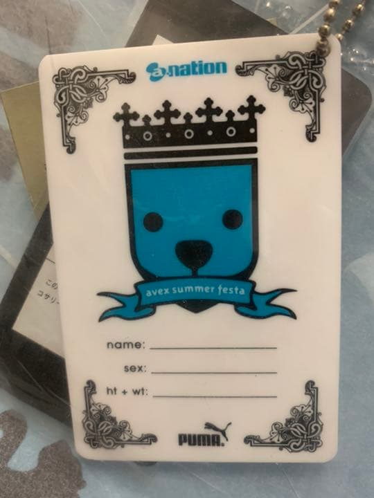 【限定品】a-nation×puma バッグ&Tシャツ