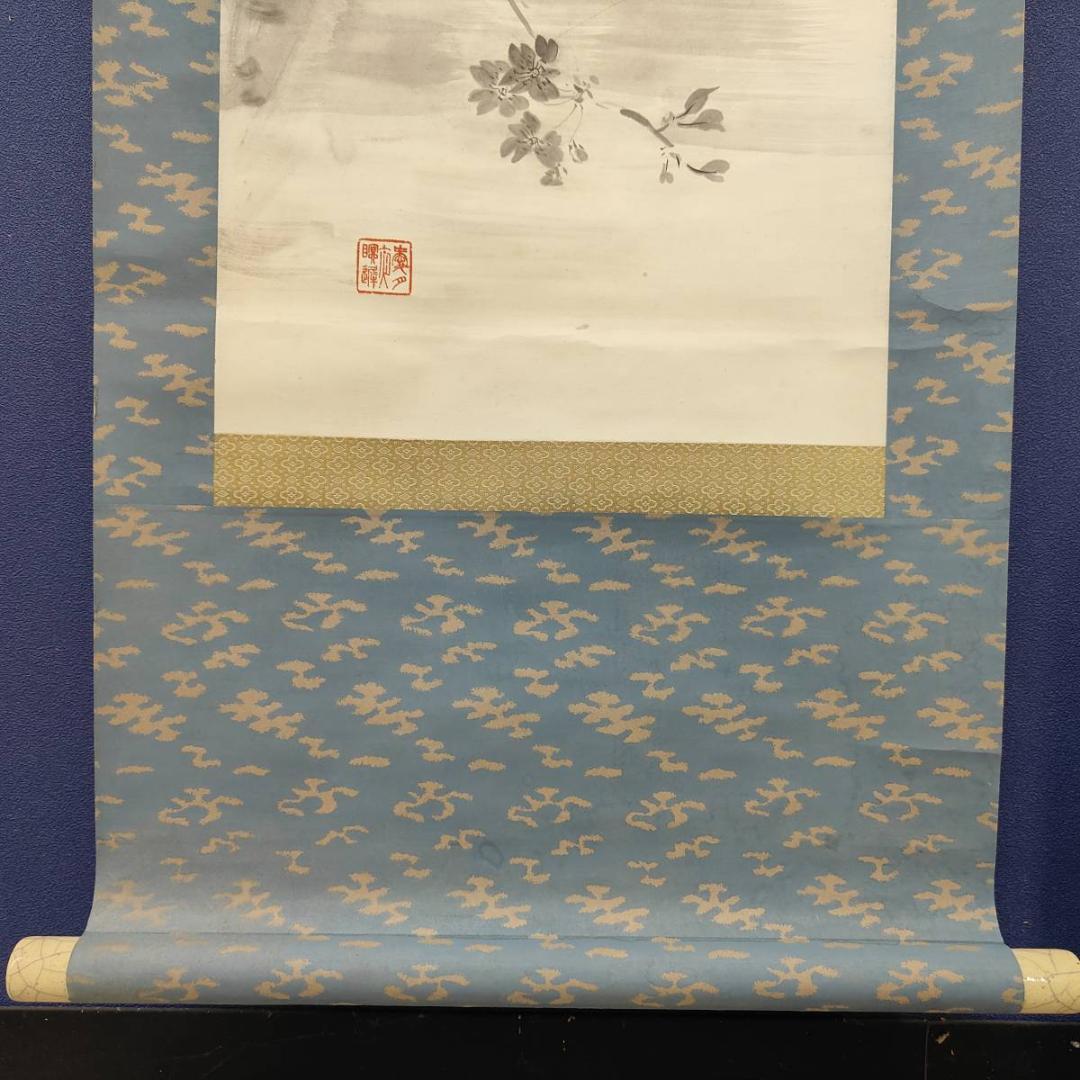 真作/巣雲/夜桜画賛/山水/桐共箱付/布袋屋掛軸A-411