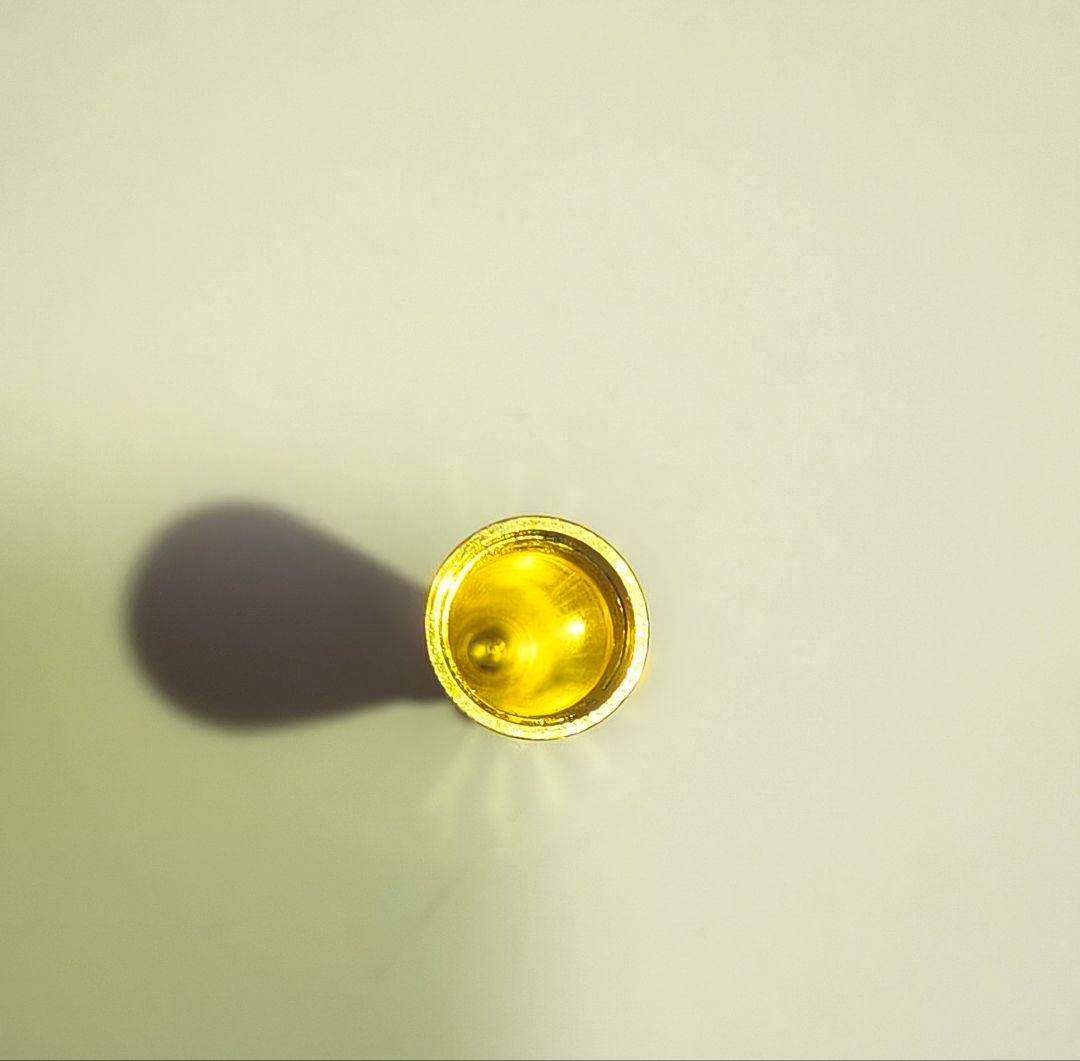 【極美品・希少】オールドグッチ　フィレンツェ　万年筆