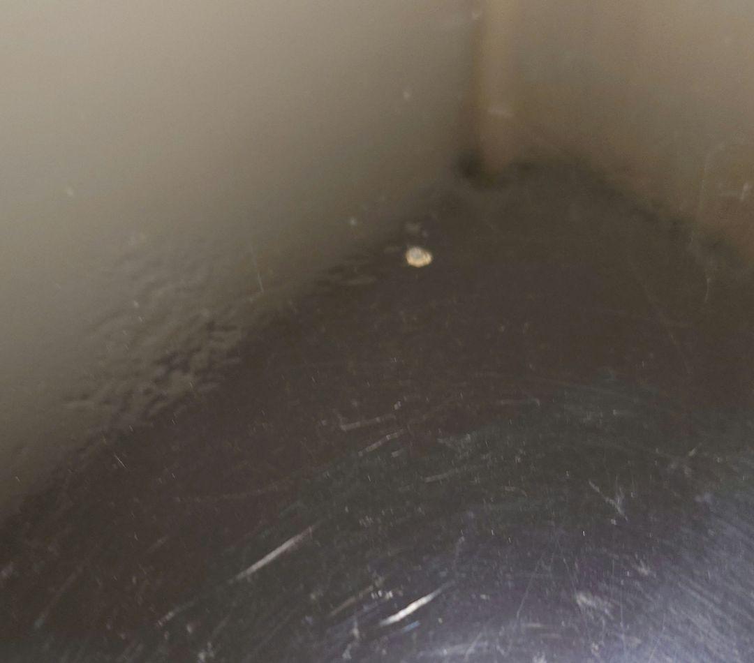 ギター グレコ レスポール