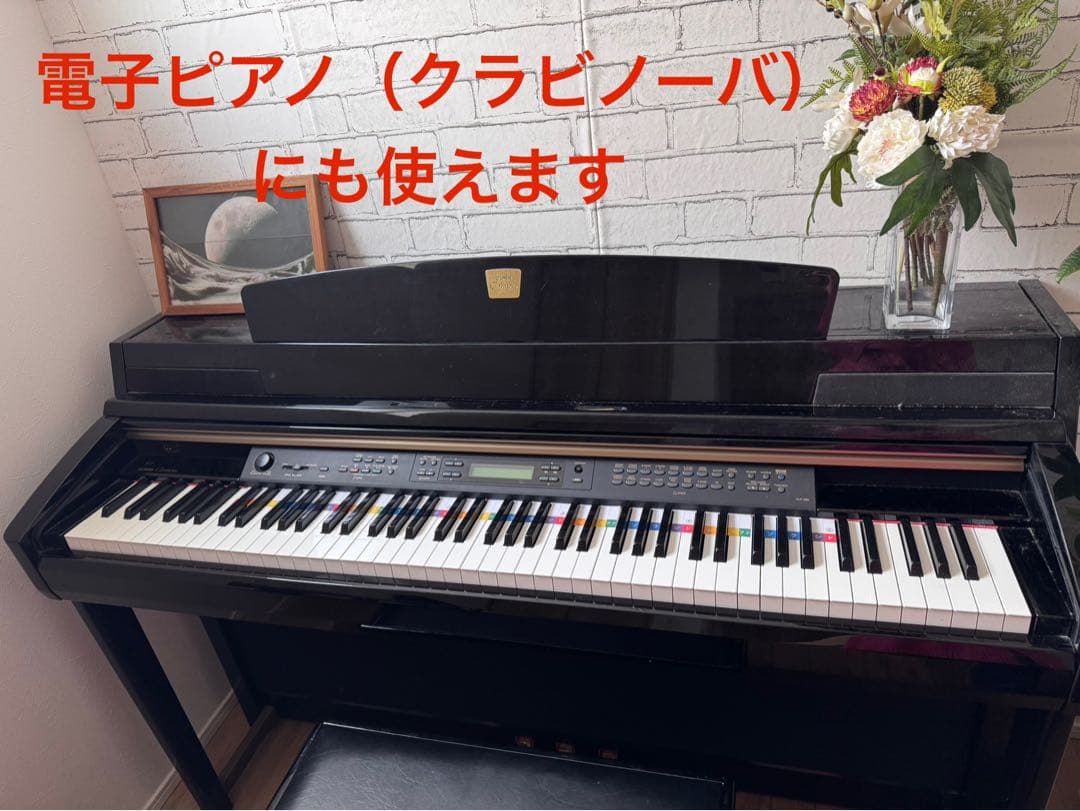 鍵盤ドレミカード（61鍵分）3枚組×10セット【まとめ買い1000円お得！】