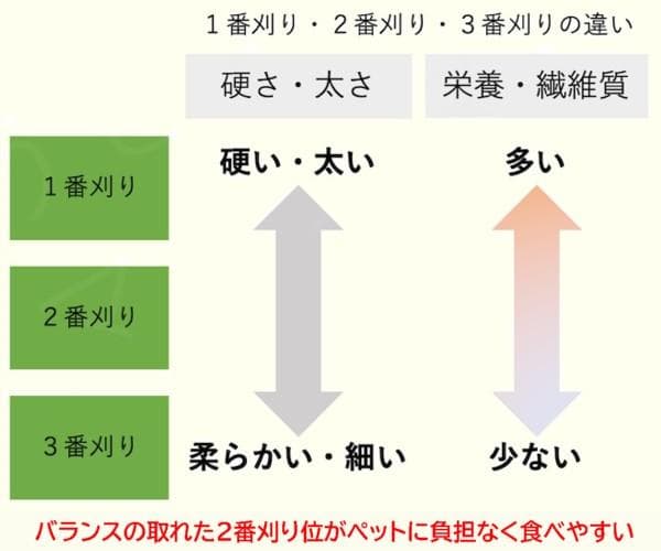 (2/23まで) カナダ産 チモシー 120kg スーパープレミアム １番刈