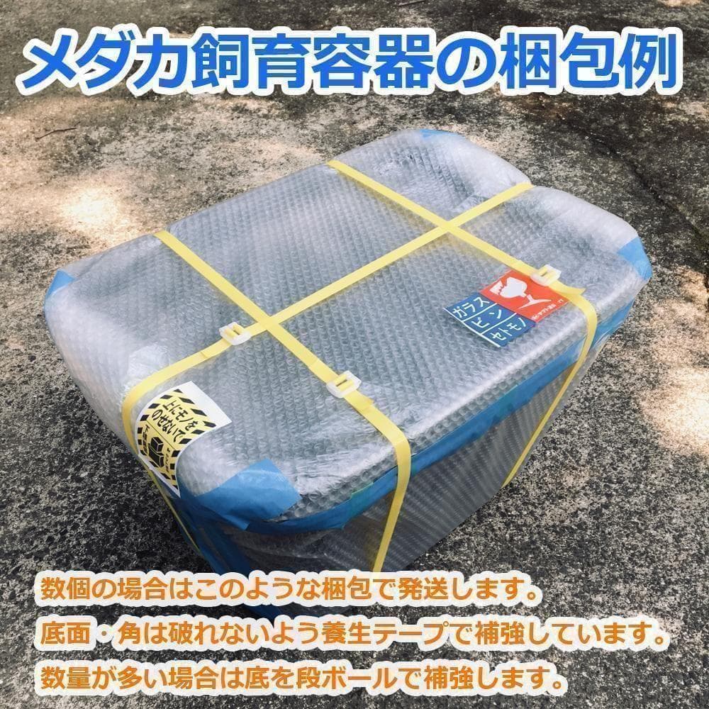 メダカ飼育ケース 36㍑x5個（4色あり） オーバーフロー めだか飼育容器 金魚