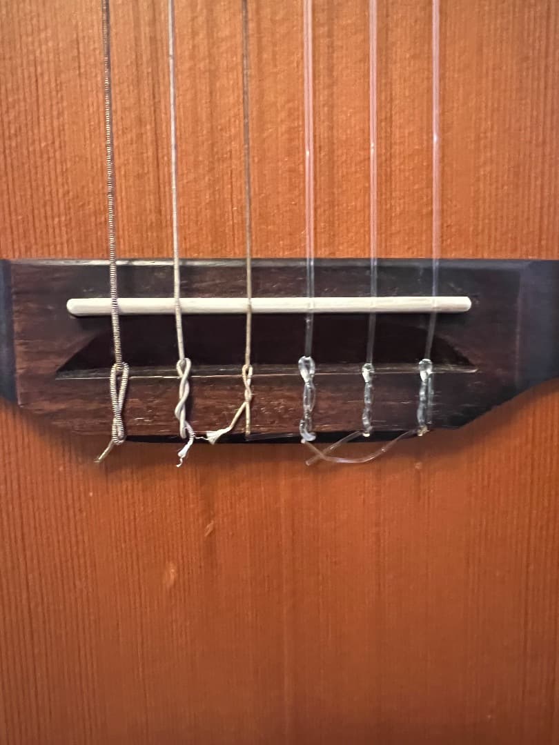 TAKAMINE NPT-110 エレガット