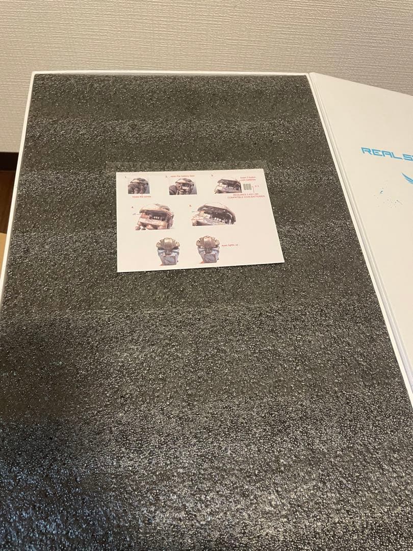 REAL STEEL AMBUSH （リアル・スティールアンブッシュ）（1/6