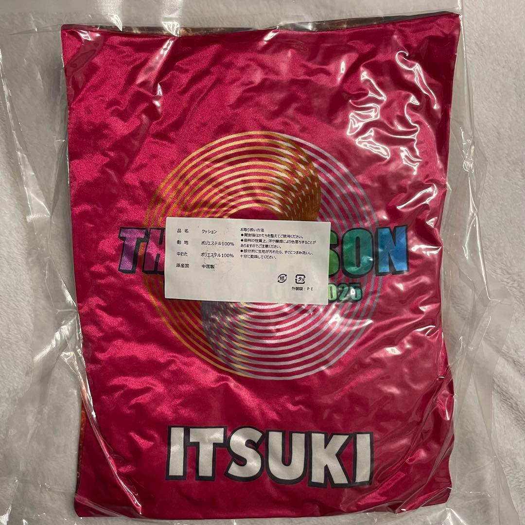 EXILE THE REASON クッション 藤原樹