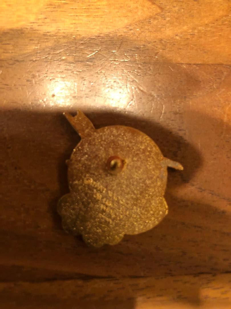 NAGANOオリンピック スケート選手 UPS社ピンバッジ