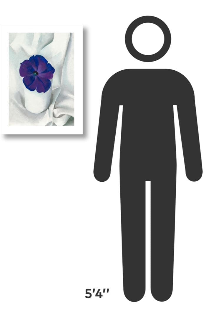 希少! ia O'Keeffe Petunia,1925 Poster