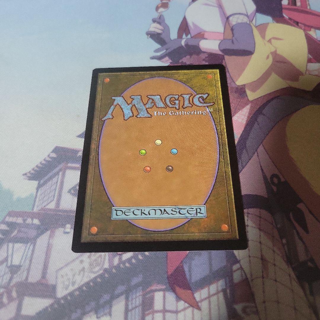 MTG 実物提示教育 韓国語