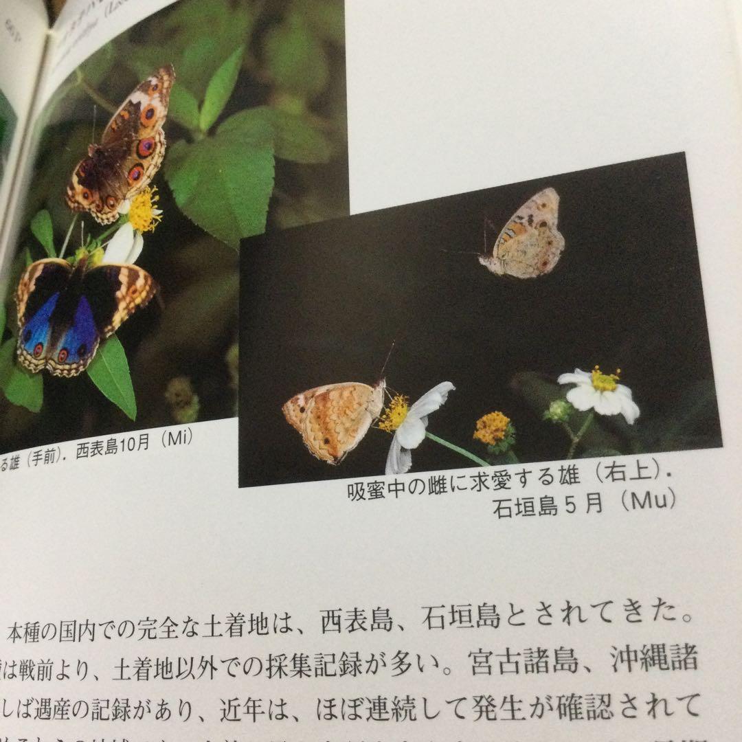 沖縄昆虫野外観察図鑑　増補版 全７巻　東 清二 編著