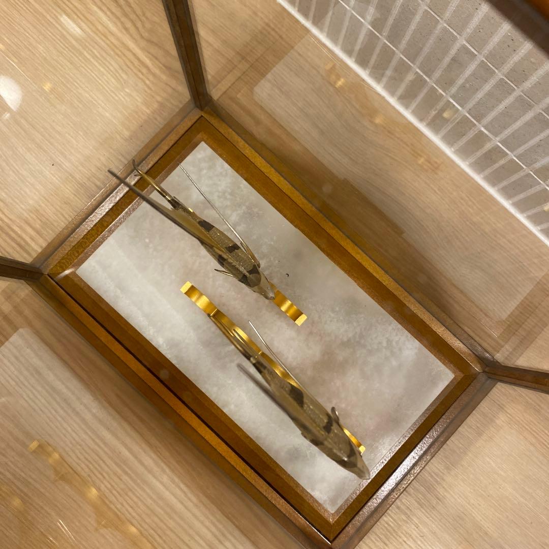 武比古　TAKEHIKO 日本　ガラス工芸　銀製　エンゼルフィッシュ