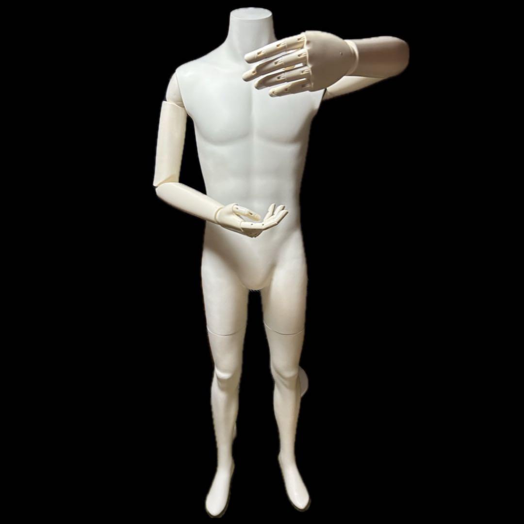 肩肘指先可動 マネキン SUN 男性 メンズマネキン　腕可動　全身マネキン