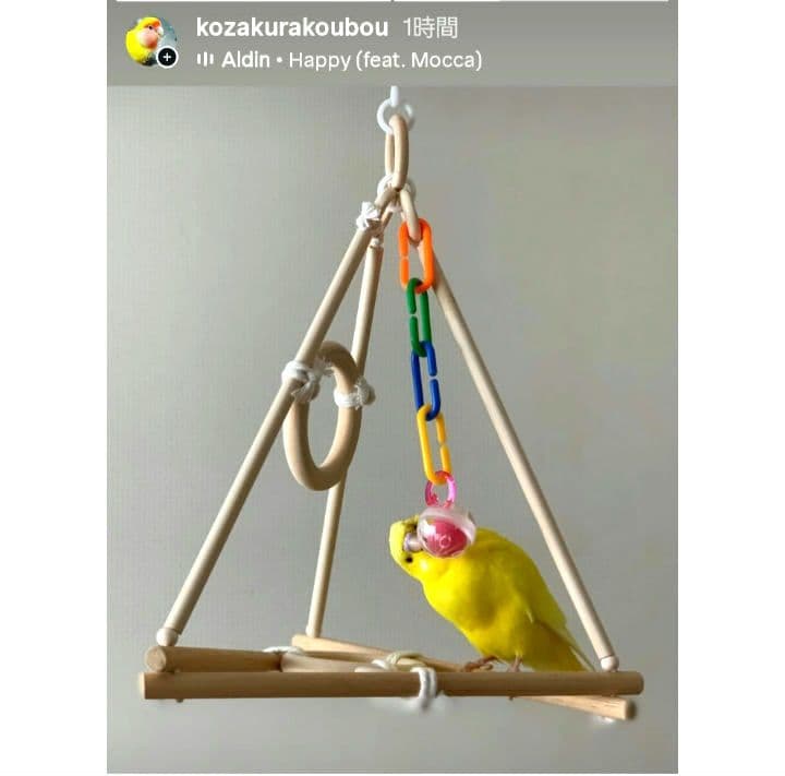 4　バードアスレチック　ブランコ　インコ　バードトイ　止まり木