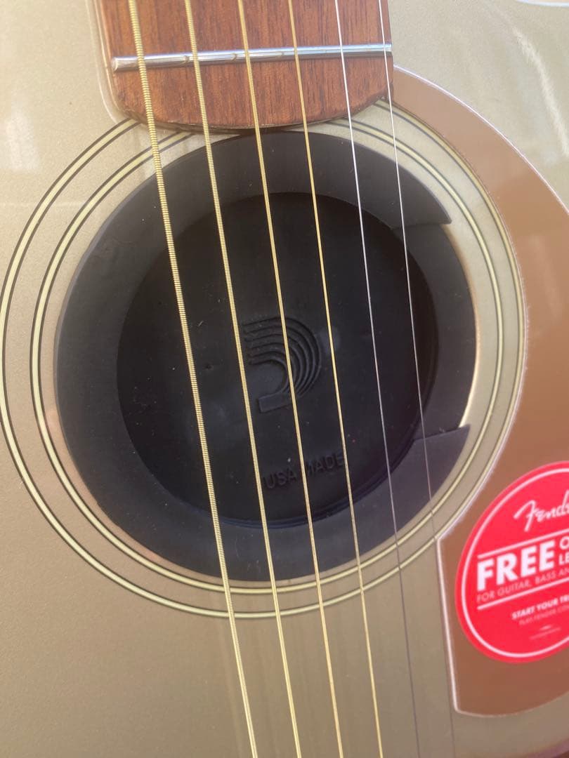 Fender Newporter Player (フェンダーニューポーター)