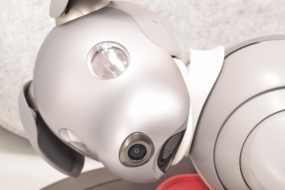 希少 ソニー SONY アイボ ERS-1000 黒ごまエディション 限定モデル