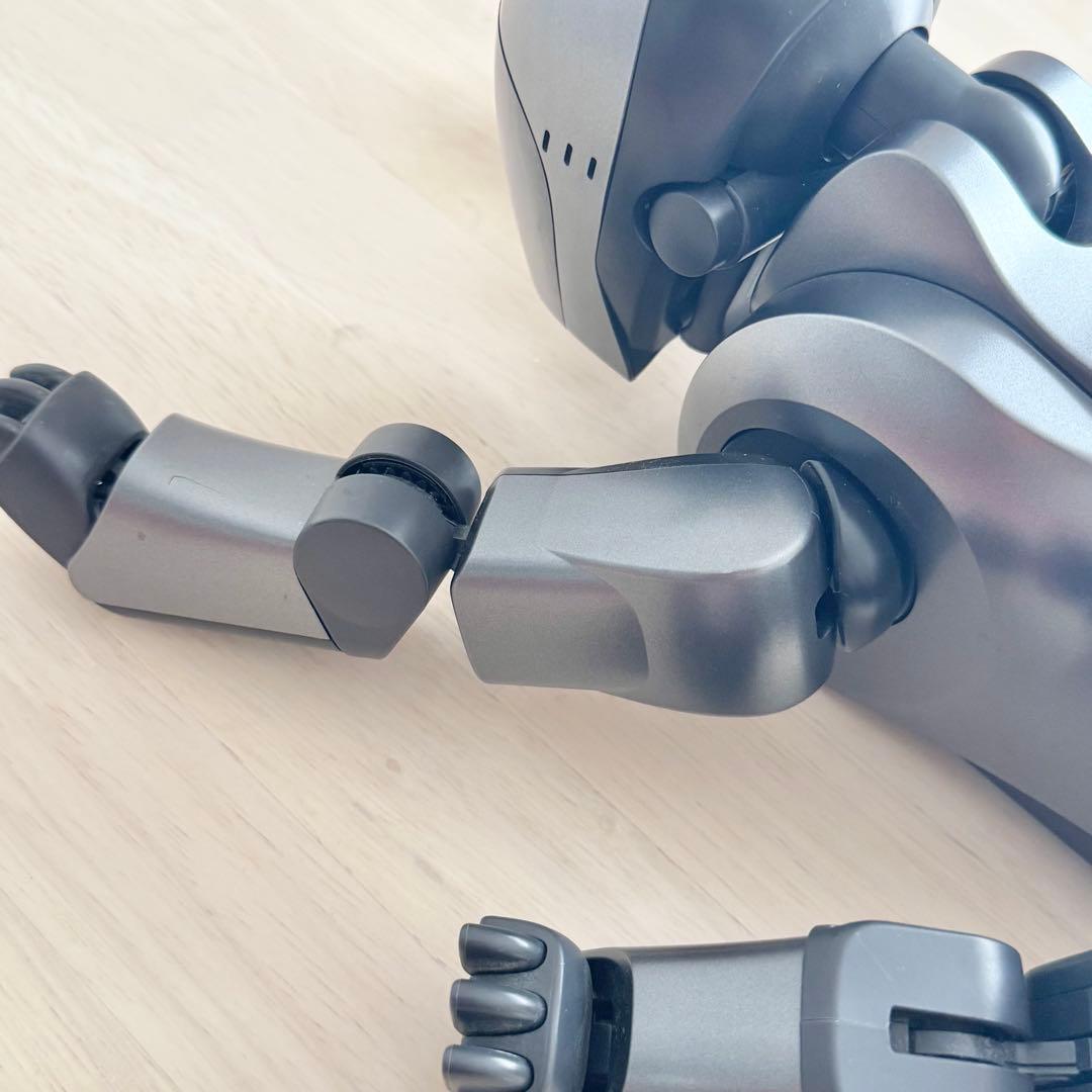 SONY AIBO ERS-210 動作未確認 ジャンク扱い アイボ