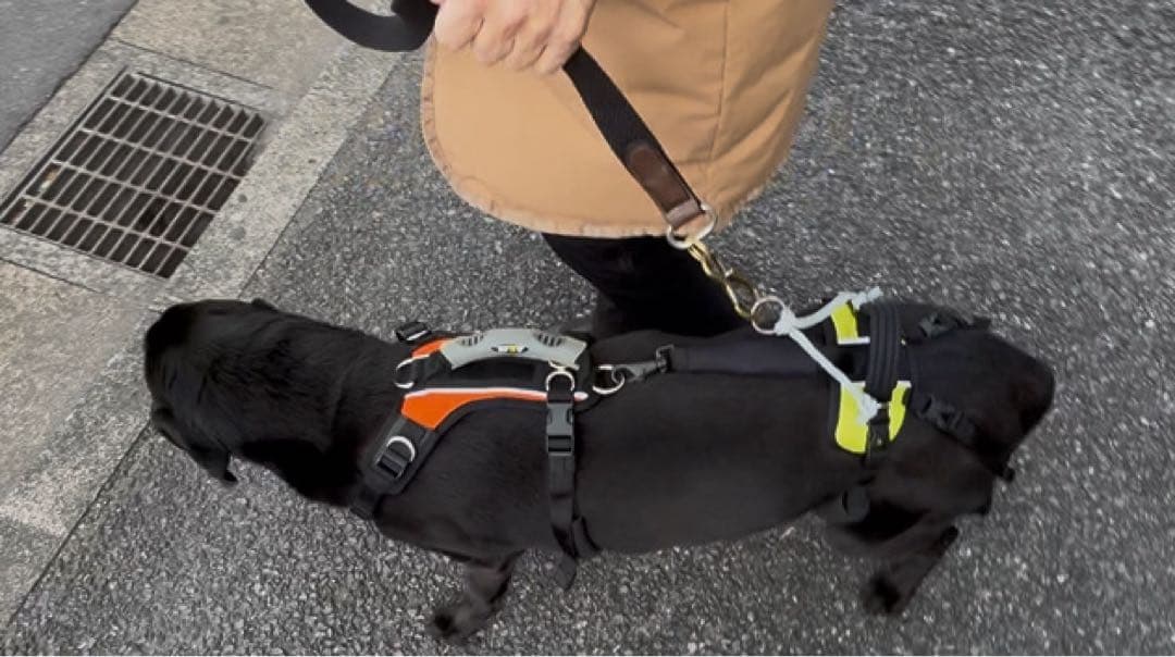 犬用介護歩行補助ハーネス　Help 'Em Up Harness