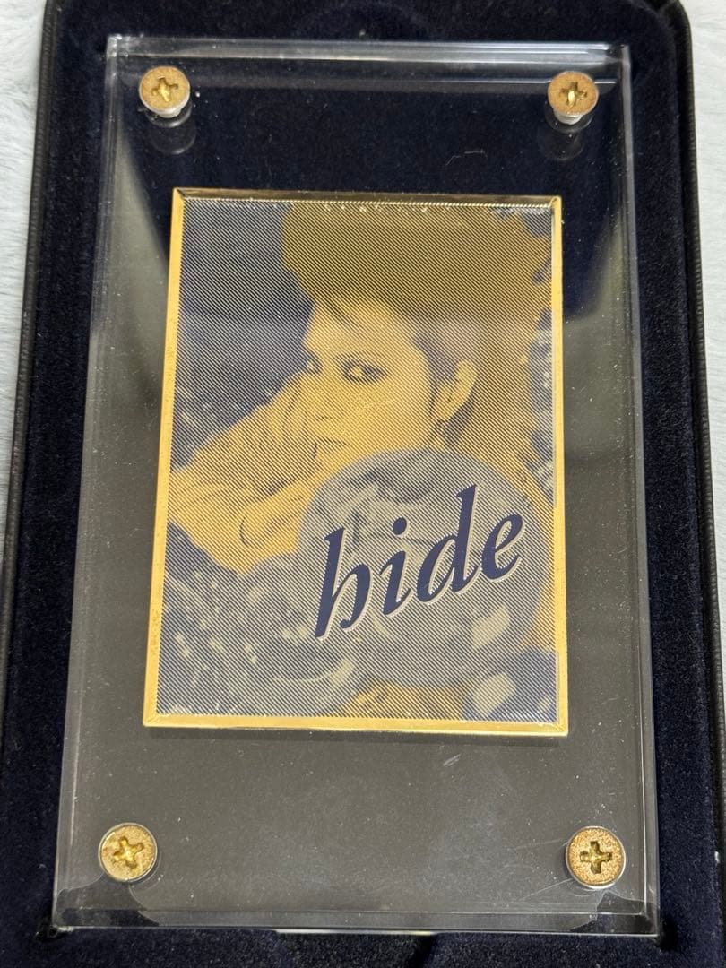 hide everfree 限定プレート