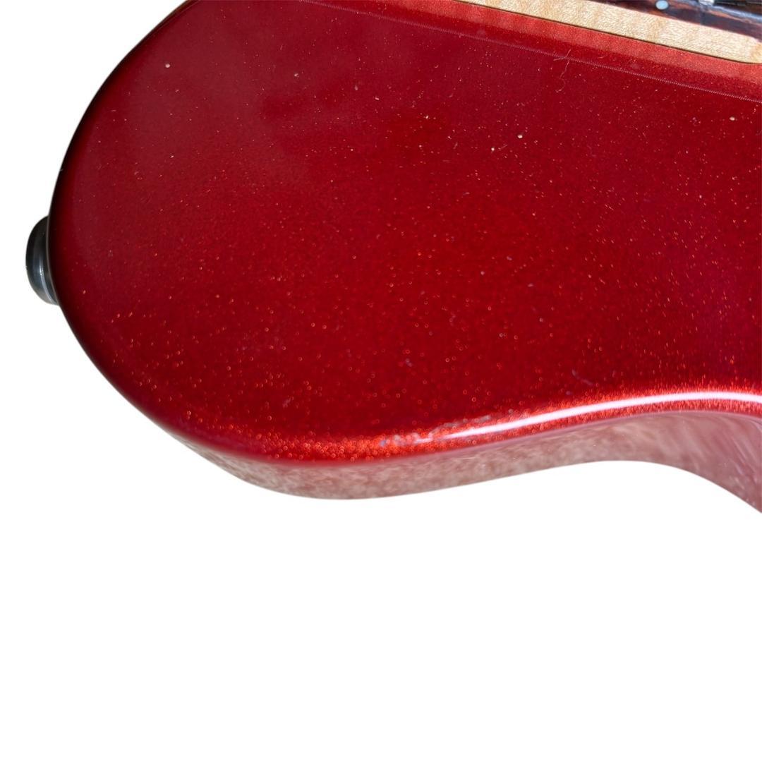 【美品】PIGNOSE ピグノーズ PGG-200 アンプ内蔵ギター