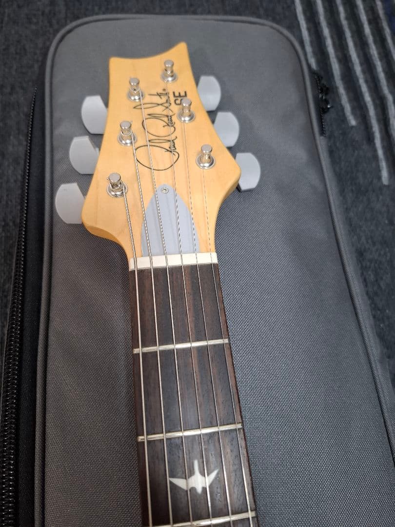 ギター Paul Reed Smith SE Siver Sky Ever Green