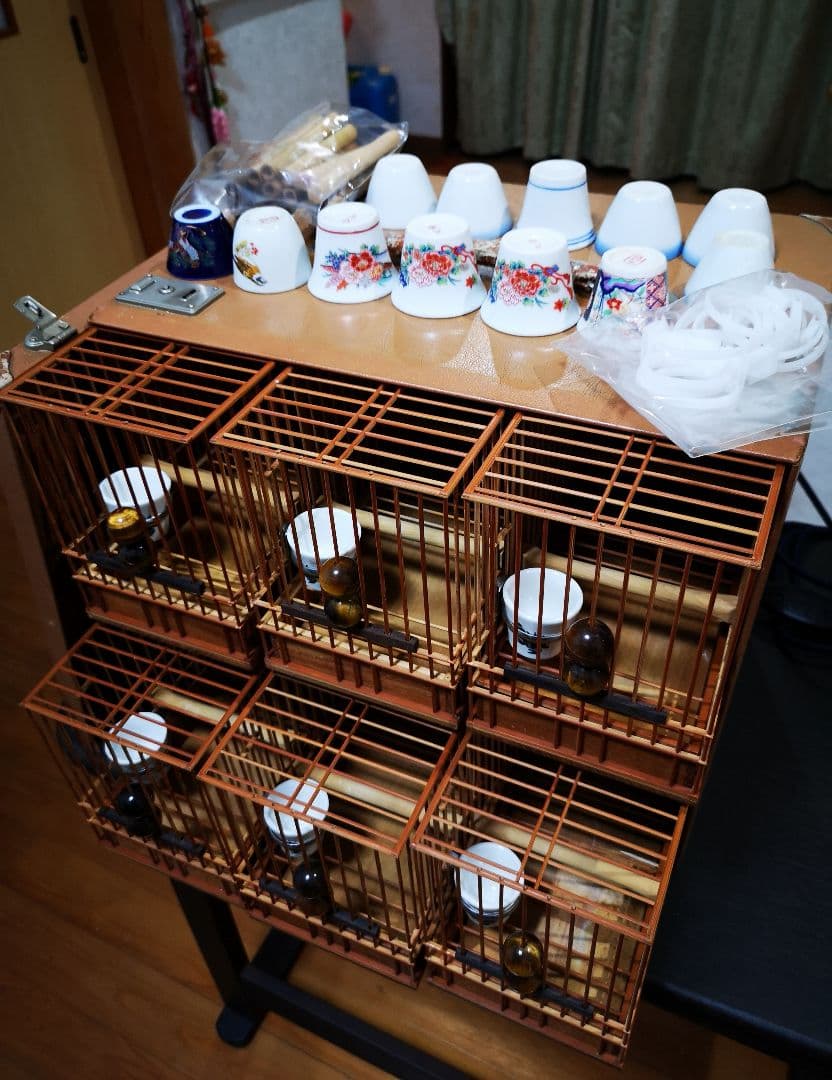 《季節限定出品》メジロ籠&寝かせ籠【最高級/優良籠】※真鍮製餌受　※限定購入特典