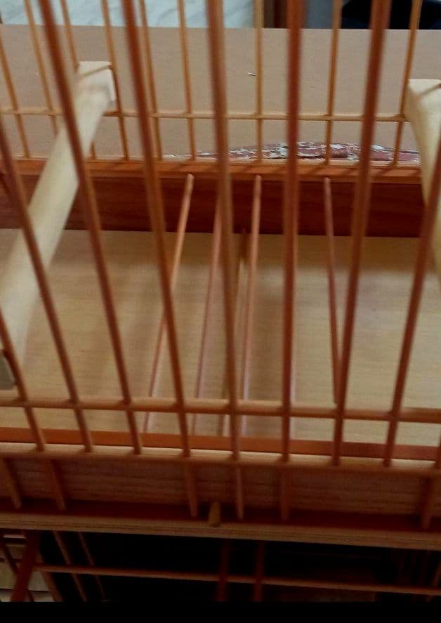 《季節限定出品》メジロ籠&寝かせ籠【最高級/優良籠】※真鍮製餌受　※限定購入特典