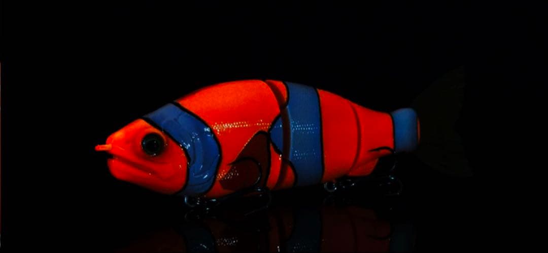 クマノミバイト