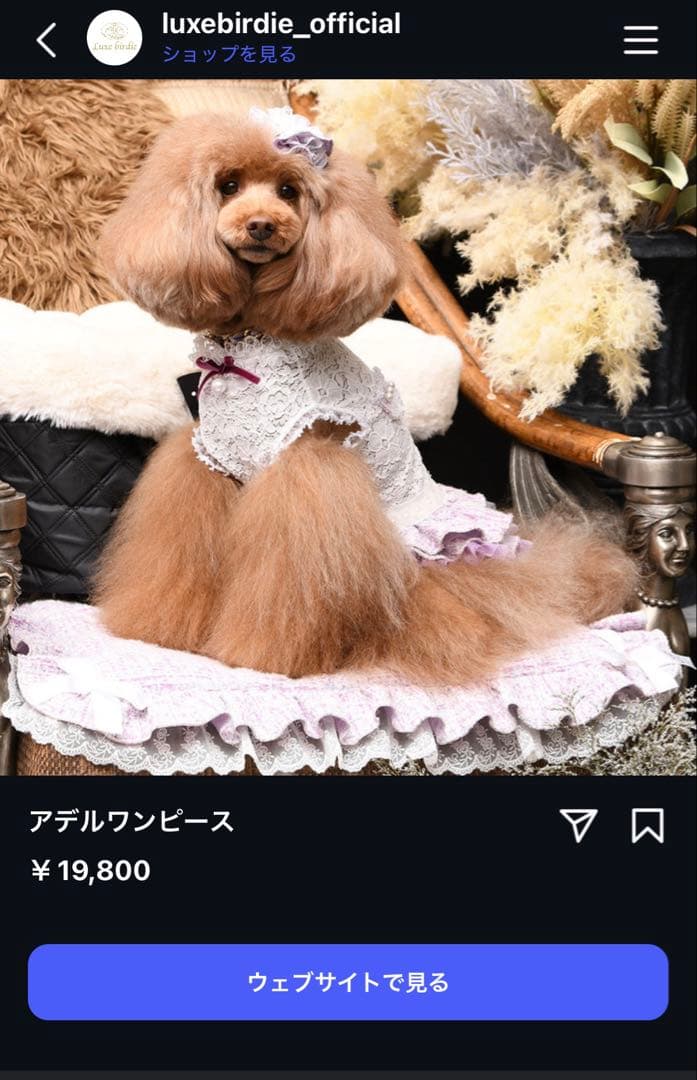 リュクスバーディ　アデルジャケット　ワンピース　セット