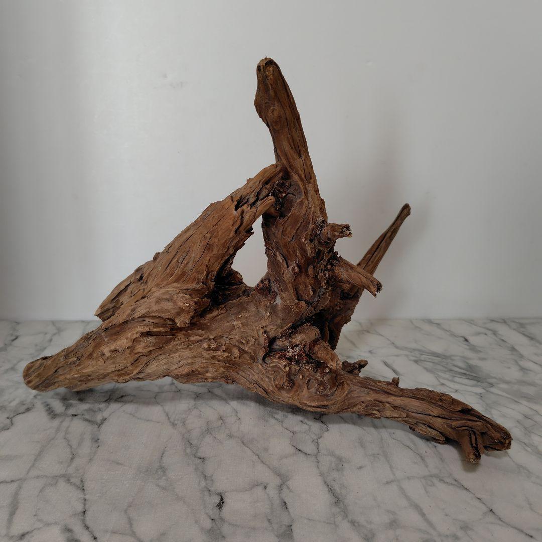 アク抜き済み流木【41】