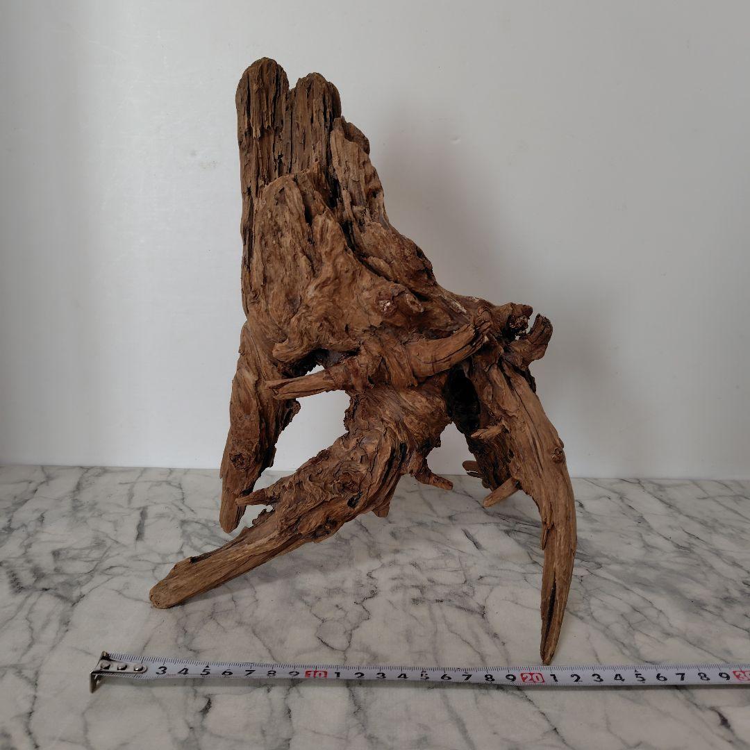 アク抜き済み流木【41】