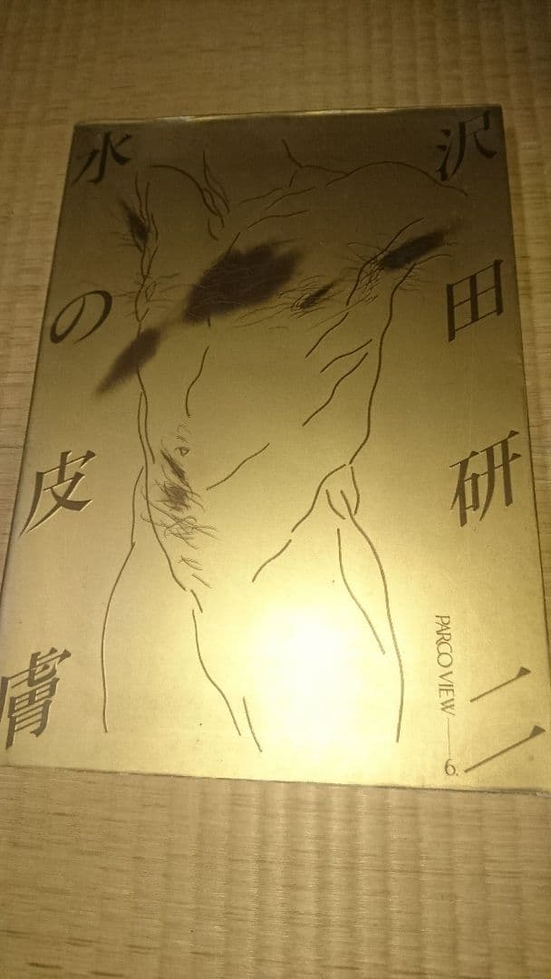 沢田研二  水の皮膚  写真集