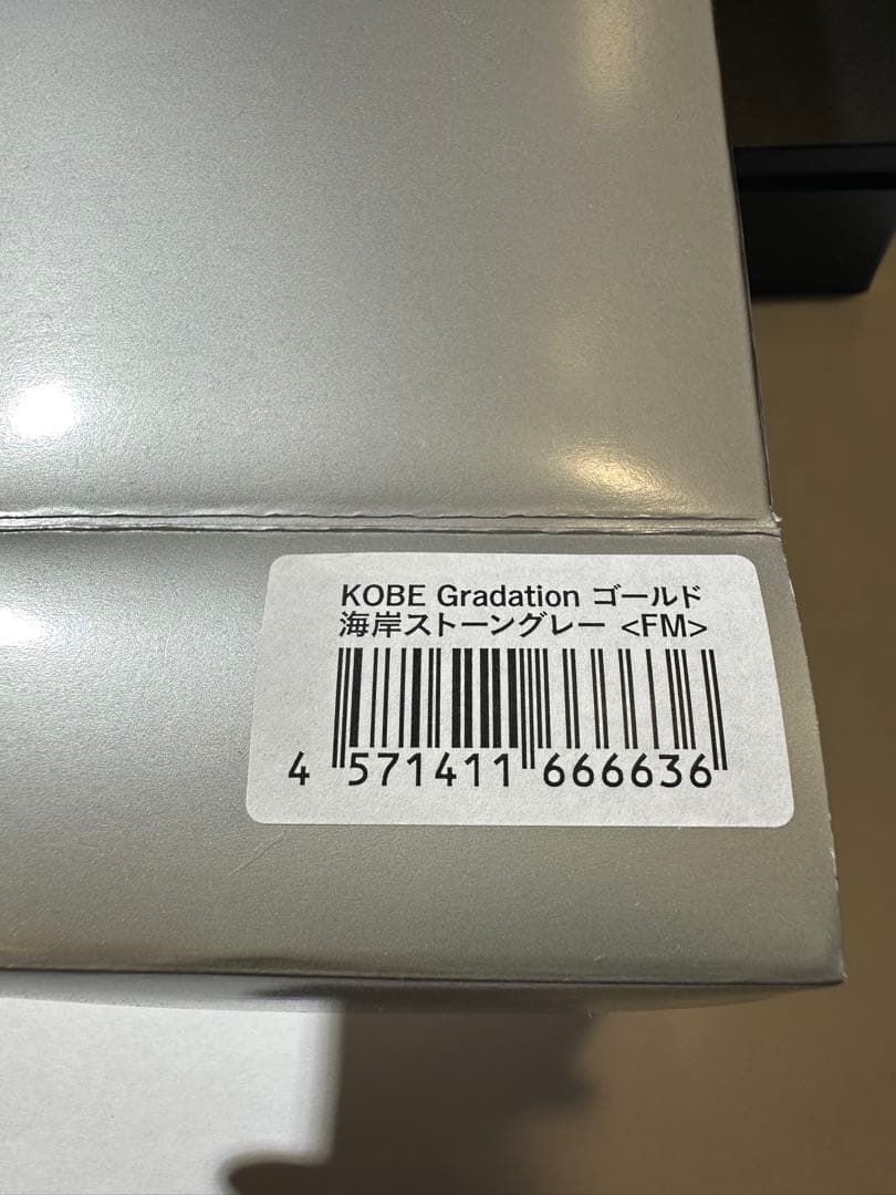 【ナガサワ限定】海岸ストーングレー 万年筆 パイロット キャップレスデシモ FM