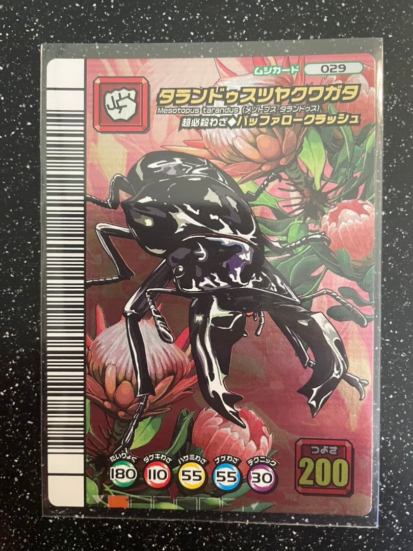 ぷてらす　5周年　2枚セット