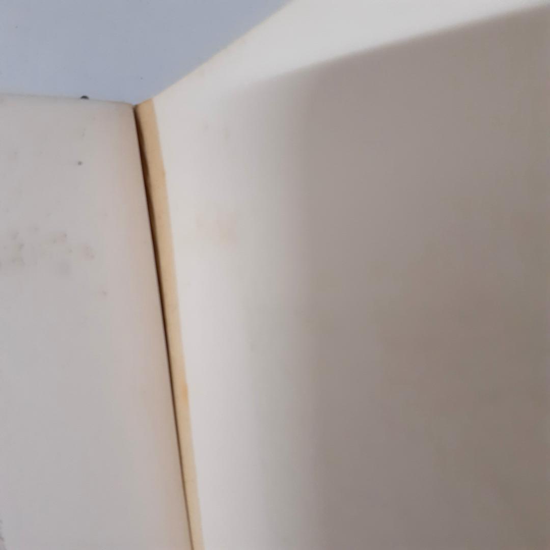 支那古玉図録　梅原末治