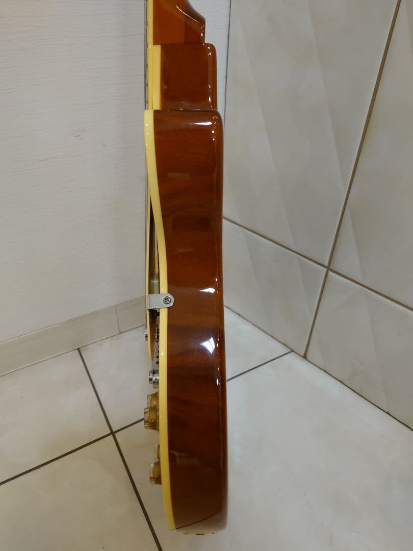 Bacchus バッカス レスポール ギター(ソフトケース付)