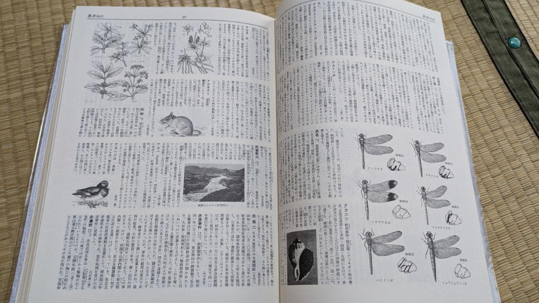 日本百科大事典 　 小学館