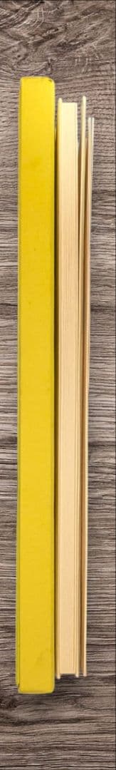 加納光於　葡萄弾-遍在方位について