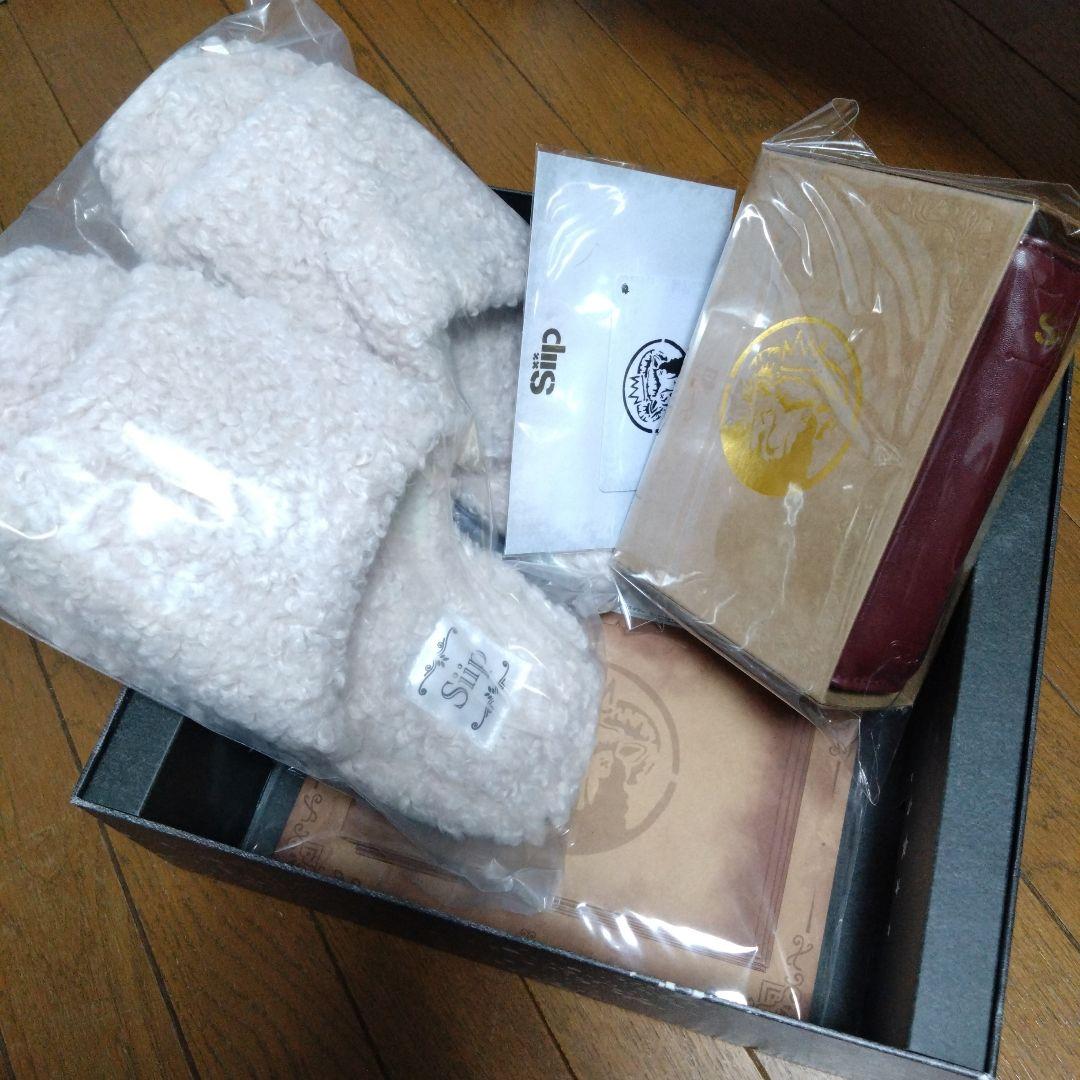 Siip ガイア 初回限定盤