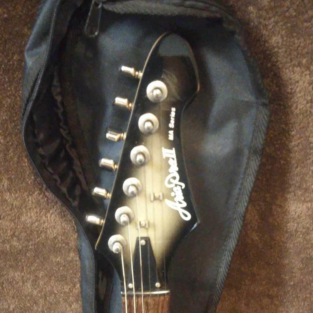 Aria ProII MA SERIES SSH (管理ヒテ)