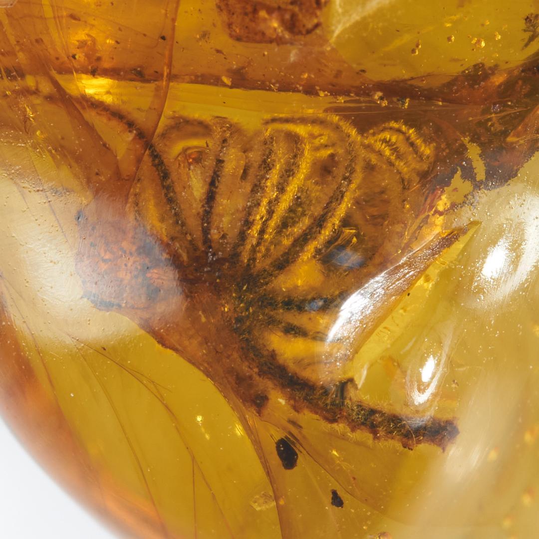 レア極上品 PA147虫入り琥珀化石　ミャンマーカムティかタナイ9900万年前