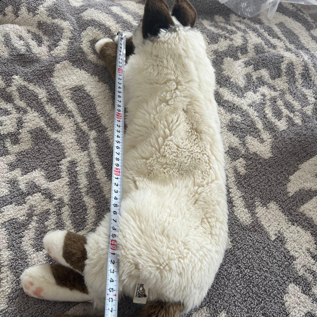 ぬいぐるみ【ケーセン】　ネコ