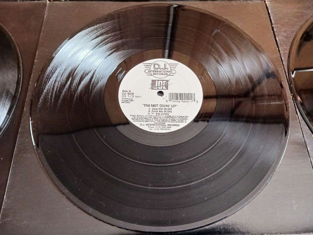 DJ INTERNATIONAL 12インチ盤9枚セット80's HOUSE