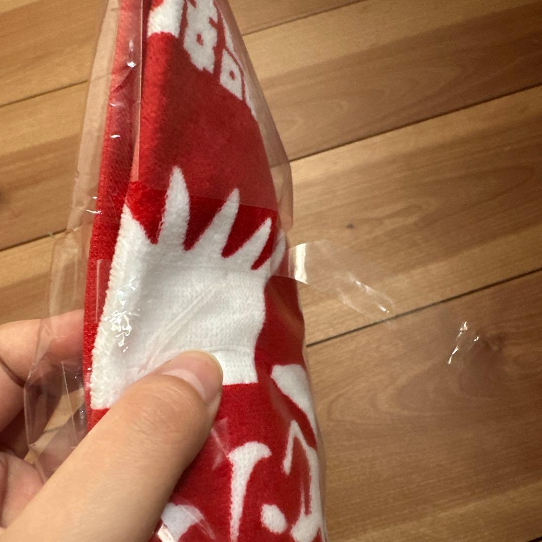 定価以下 新品未使用 レペゼン地球 グッズセット