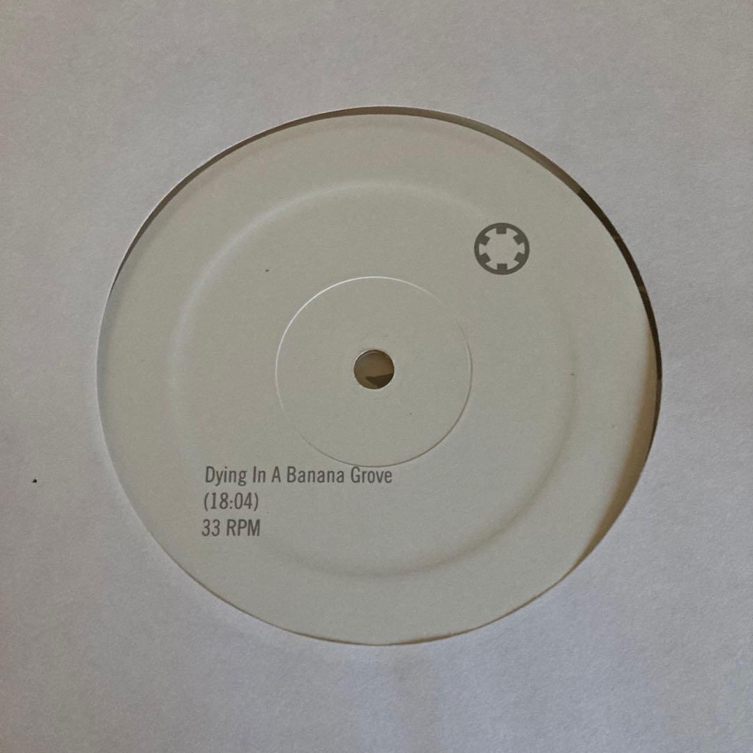 洋楽 Josh Mason The Symbiont LP