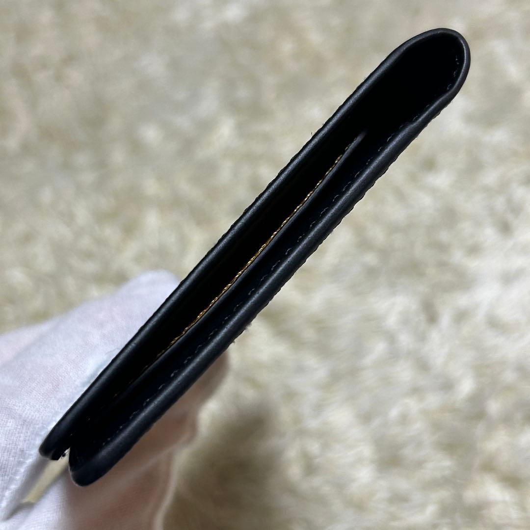 【未使用級】ゴヤール　パスポートケース　カードケース　本革　PVC 黒
