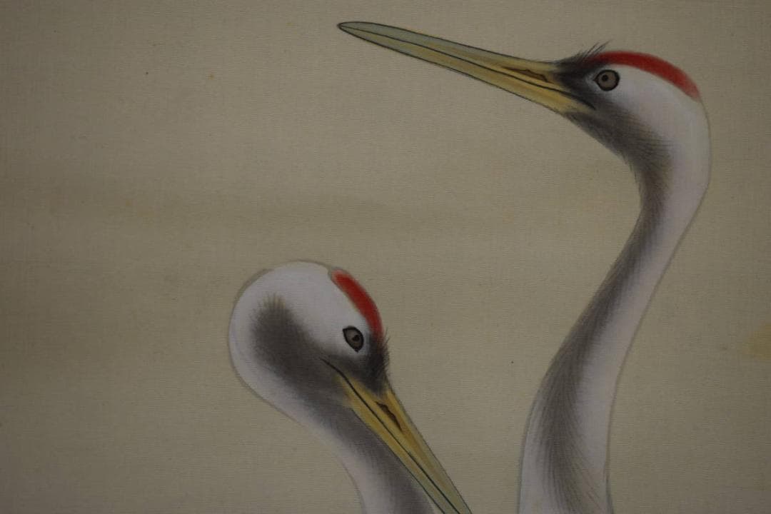 真作/光峰/松下双鶴図/桐共箱付/布袋屋掛軸HF-622