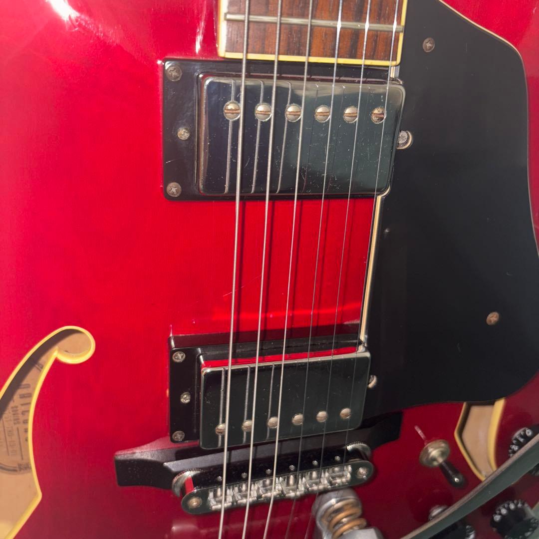 Ibanez アイバニーズ Light様