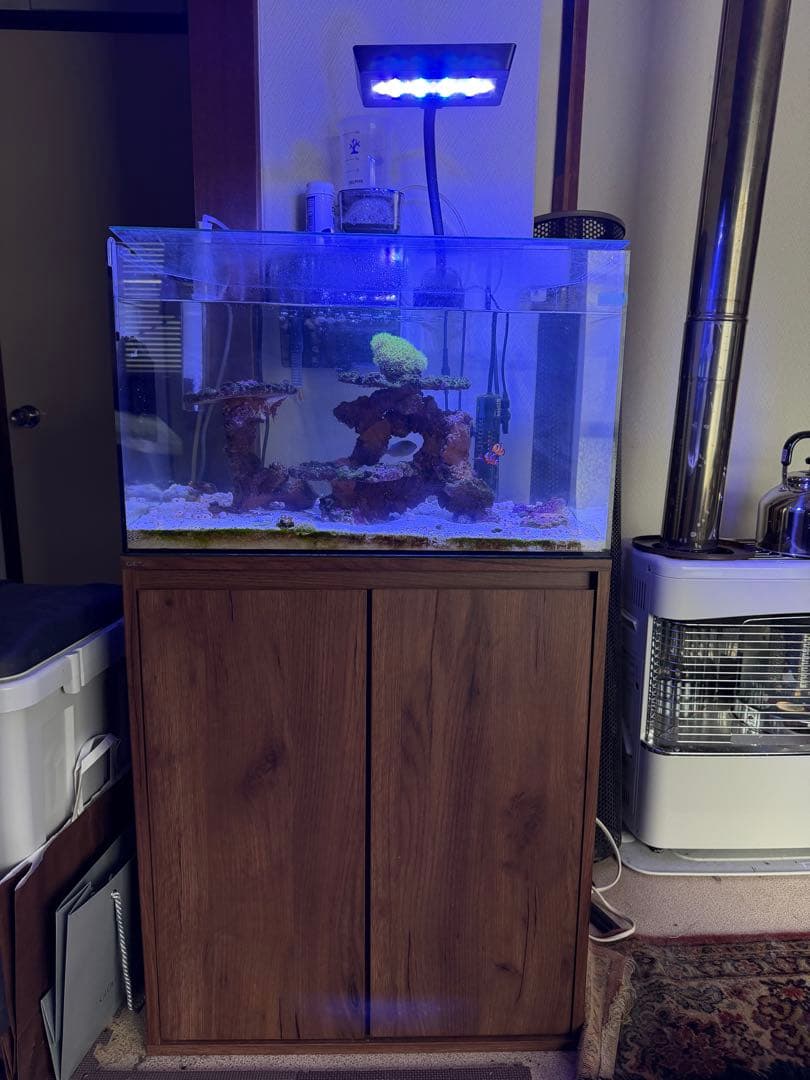 海水魚飼育セット