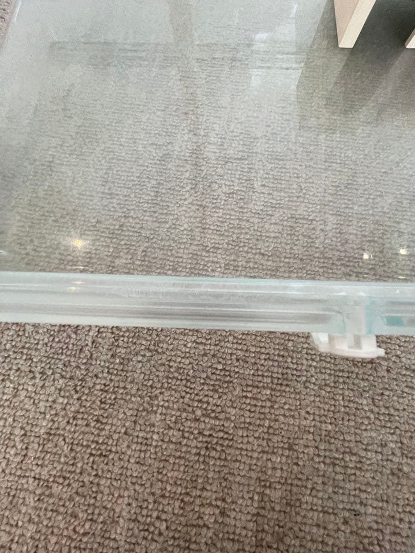 GEXグラスハーモニー600 送料込み