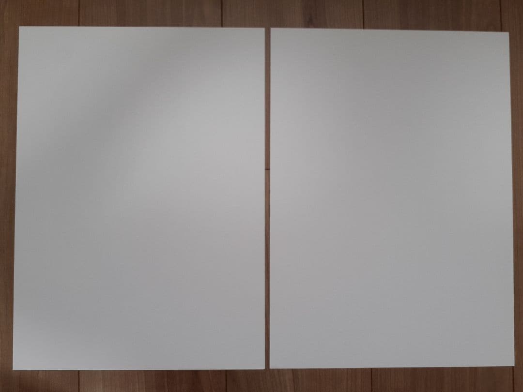 ✔️非売品 ONEPIECE 複製原画 ビブルの秘宝② エース